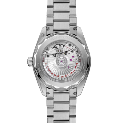 Seamaster Railmaster 38 mm