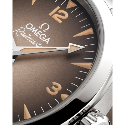 Seamaster Railmaster 38 mm