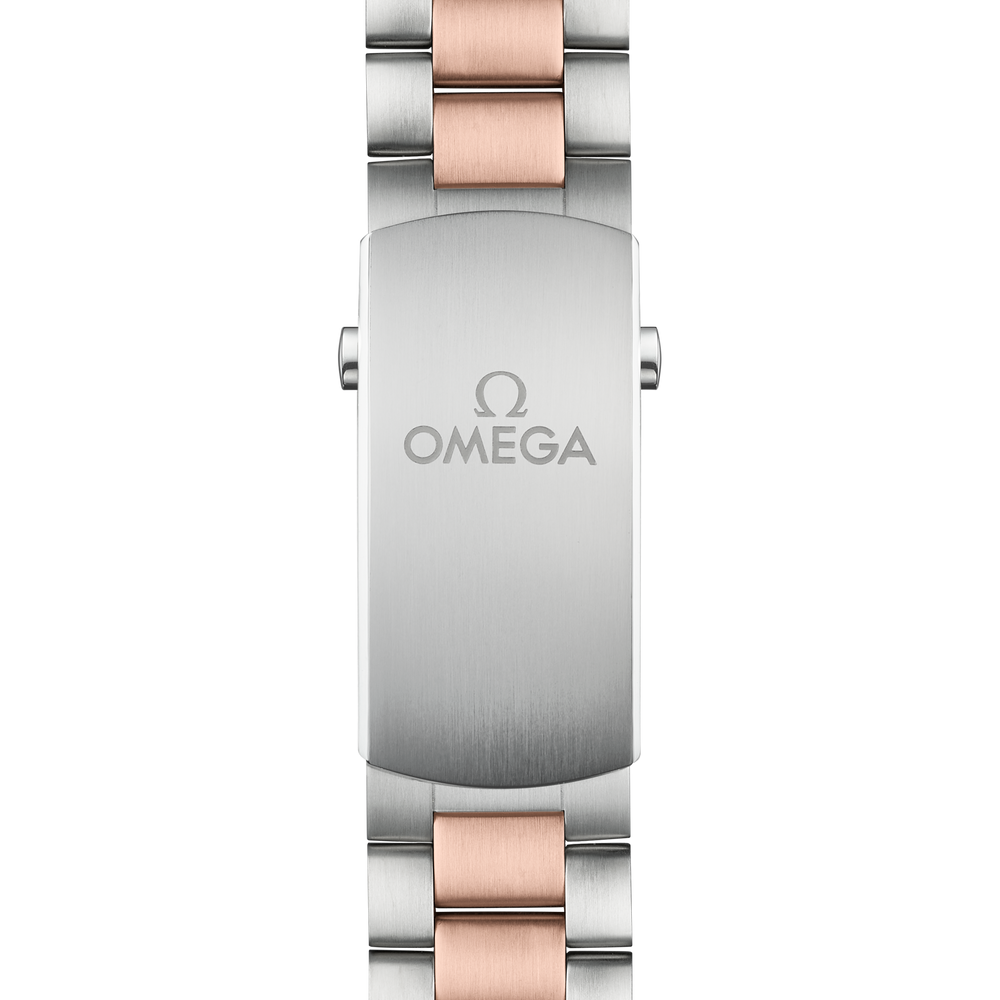 Seamaster Planet Ocean 600M 45,5 mm