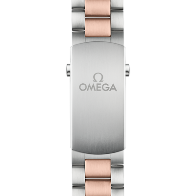 Seamaster Planet Ocean 600M 45,5 mm