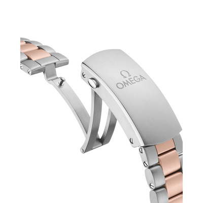 Seamaster Planet Ocean 600M 45,5 mm