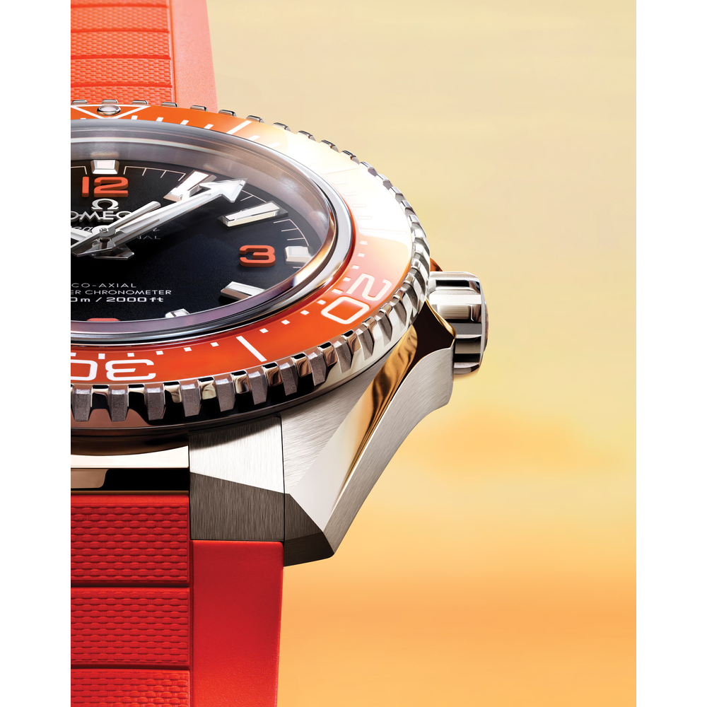 Seamaster Planet Ocean 600M 42 mm