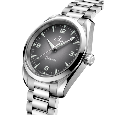 Seamaster Railmaster 38 mm