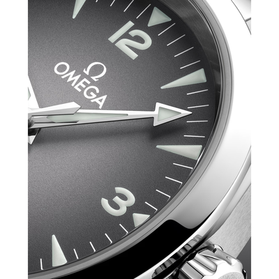 Seamaster Railmaster 38 mm