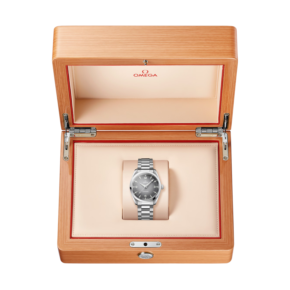 Seamaster Railmaster 38 mm
