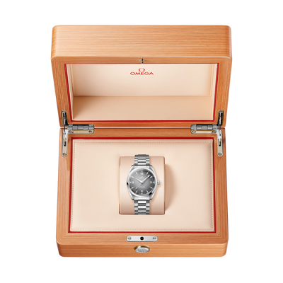 Seamaster Railmaster 38 mm