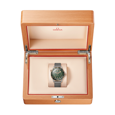 Seamaster Diver 300M 42 mm
