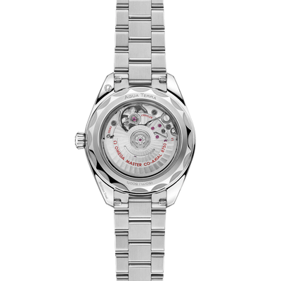 Seamaster Aqua Terra 150M 30 mm