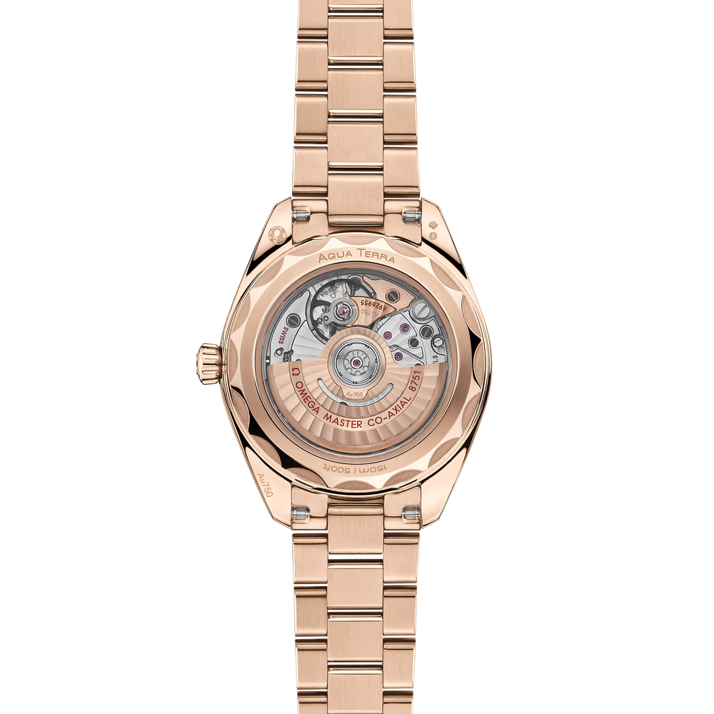 Seamaster Aqua Terra 150M 30 mm