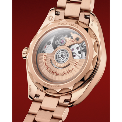 Seamaster Aqua Terra 150M 30 mm