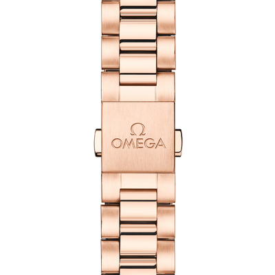 Seamaster Aqua Terra 150M 30 mm