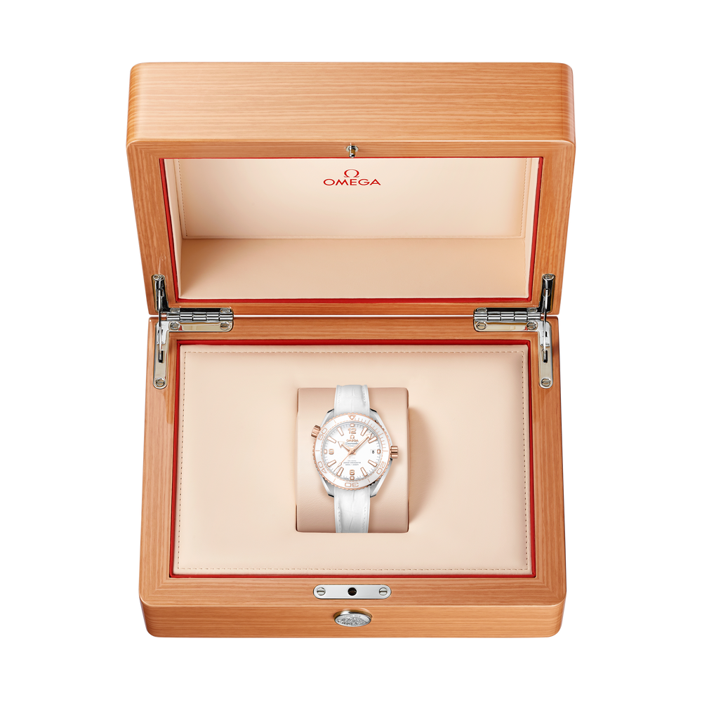 Seamaster Planet Ocean 600M 39,5 mm