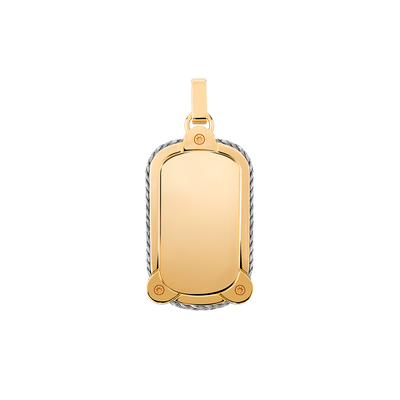 Force 10 Winch pendant