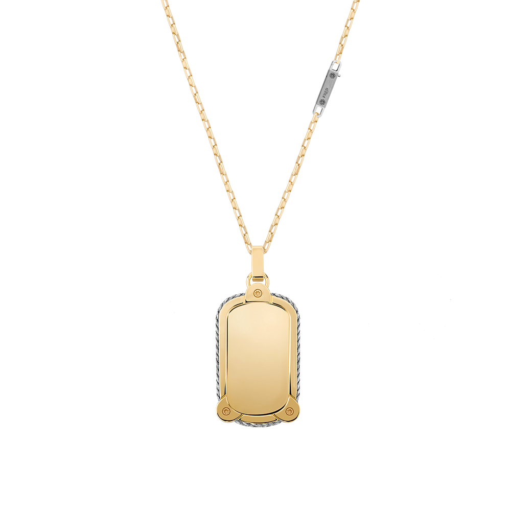 Force 10 Winch pendant