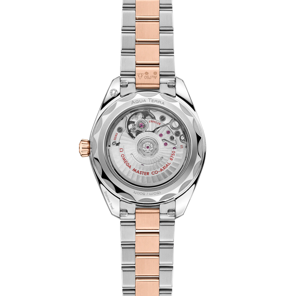 Seamaster Aqua Terra 150M 30 mm