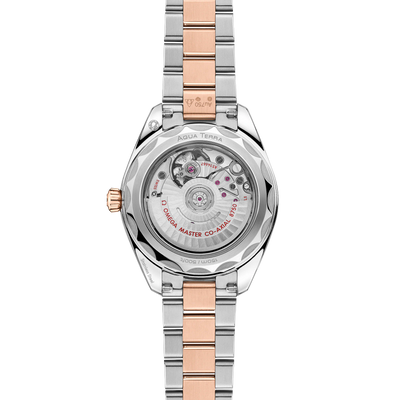 Seamaster Aqua Terra 150M 30 mm