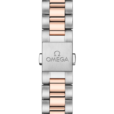 Seamaster Aqua Terra 150M 30 mm