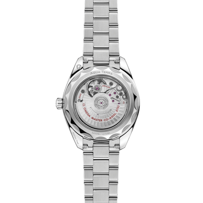 Seamaster Aqua Terra 150M 30 mm