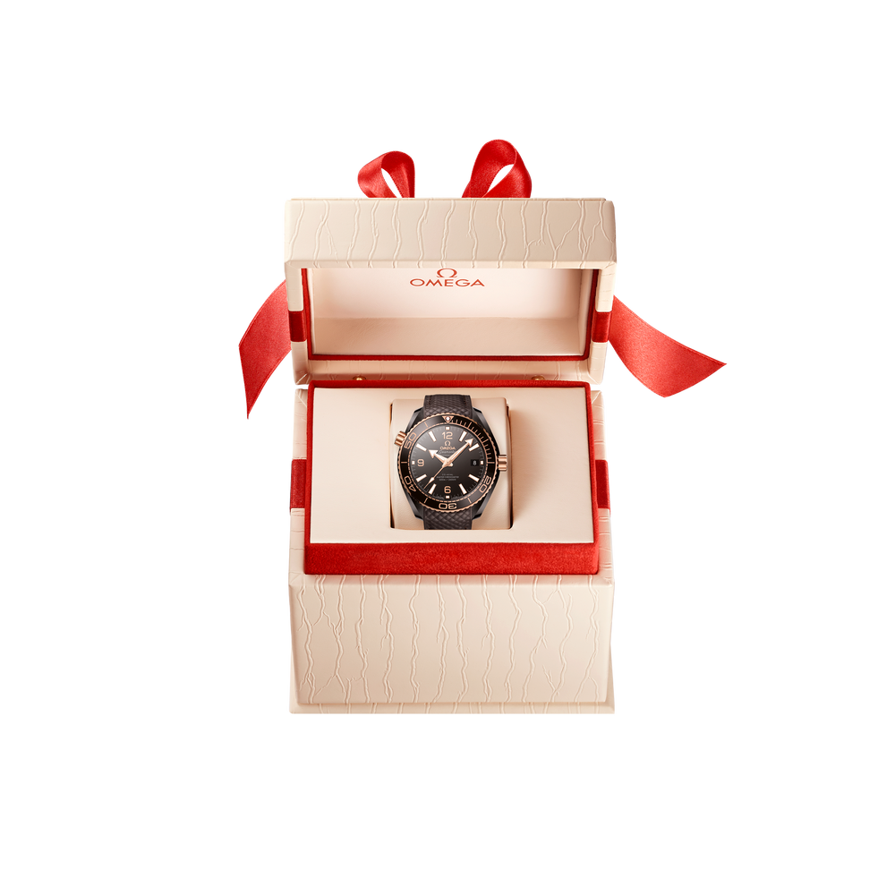 Seamaster Planet Ocean 600M 39,5 mm