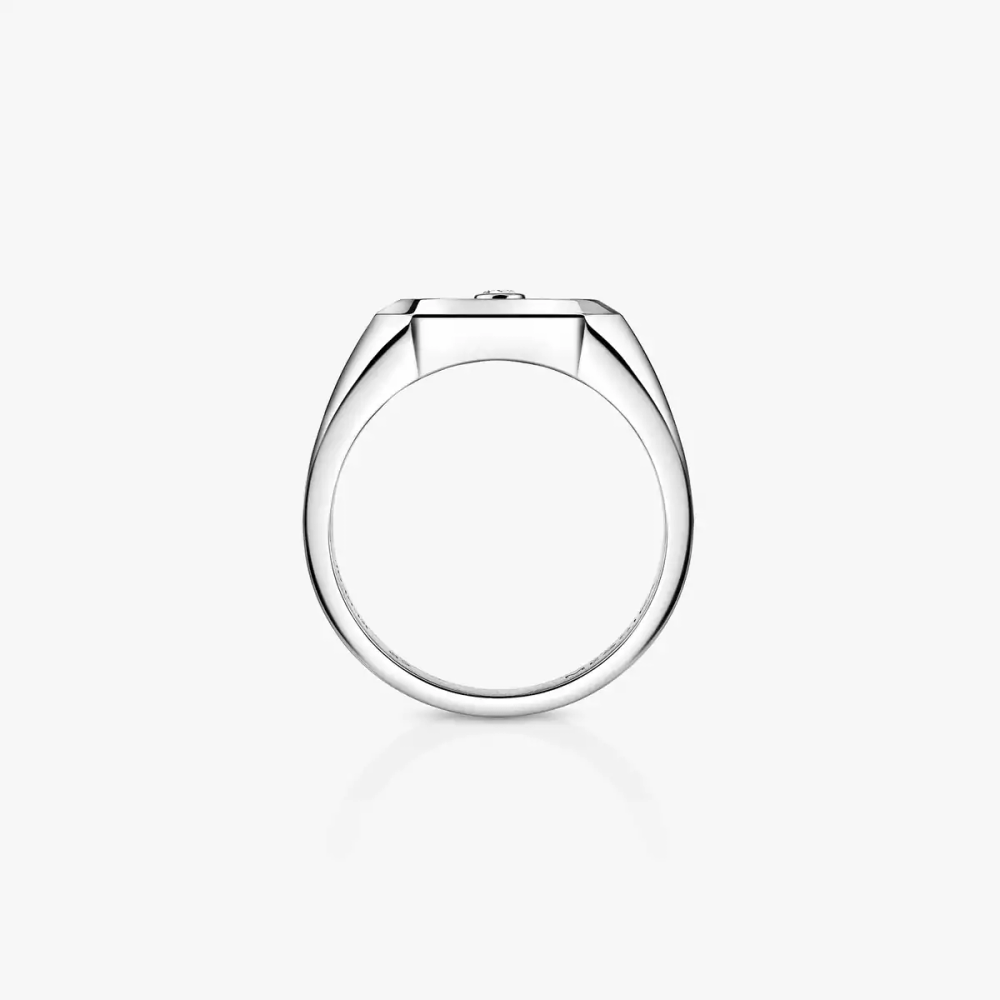 Move Titanium Natural Signet Ring Natural Titanium Diamond Ring