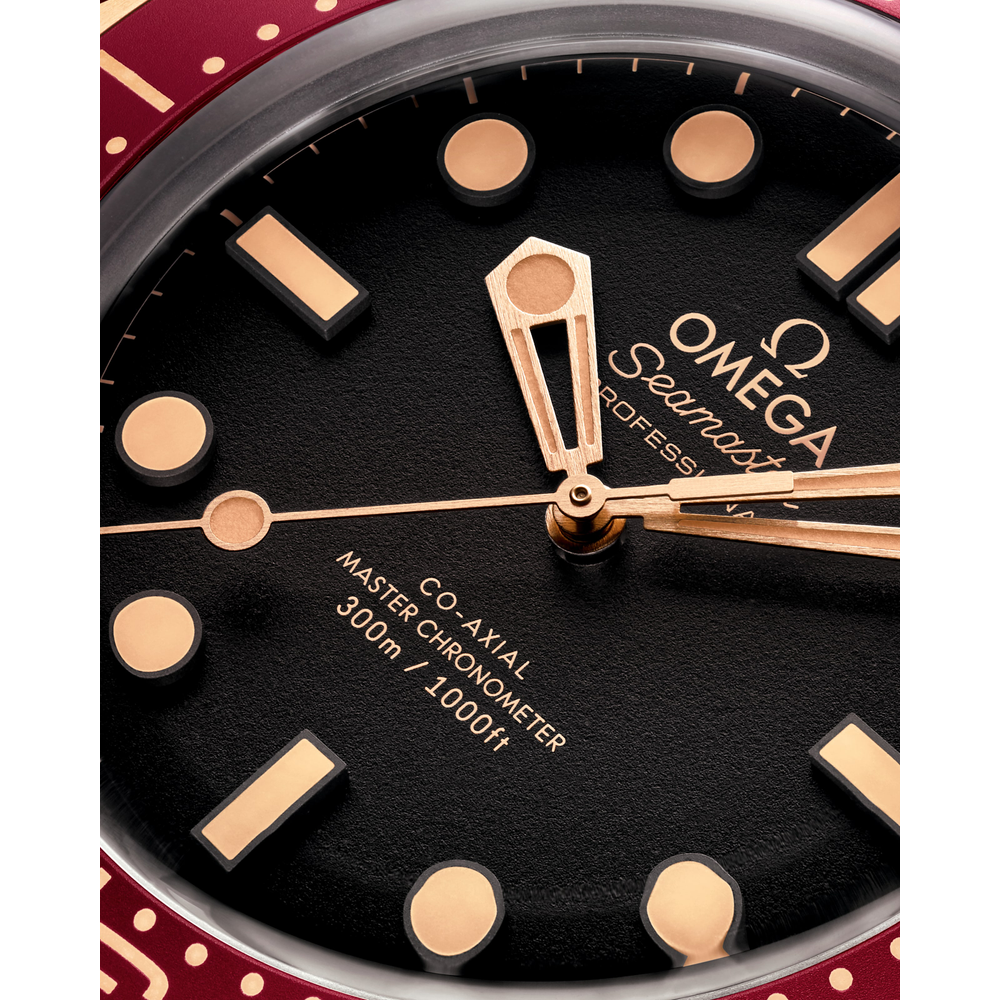 Seamaster Diver 300M 42 mm