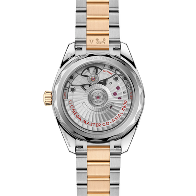 Seamaster Aqua Terra Shades 34 mm