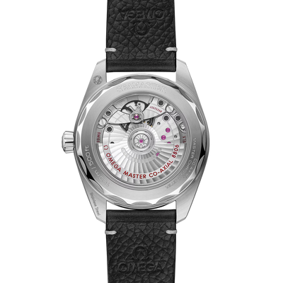 Seamaster Railmaster 38 mm