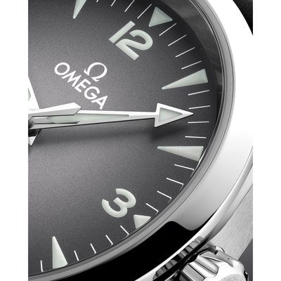 Seamaster Railmaster 38 mm