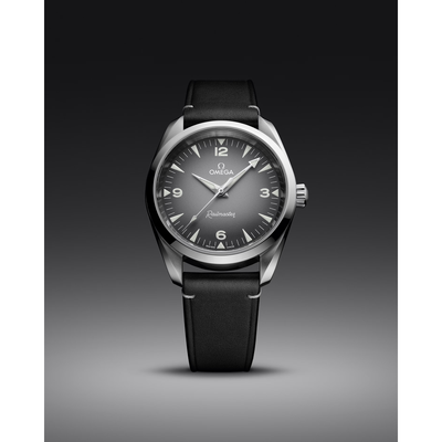 Seamaster Railmaster 38 mm