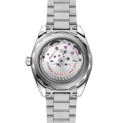 Seamaster Aqua Terra 150M 41 mm