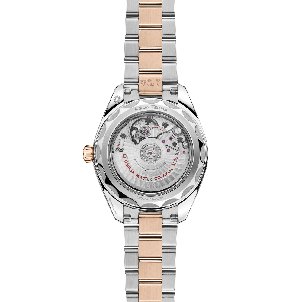 Seamaster Aqua Terra 150M 30 mm