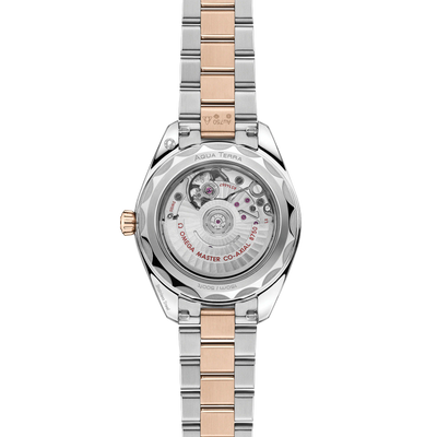 Seamaster Aqua Terra 150M 30 mm