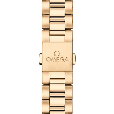 Seamaster Aqua Terra 150M 30 mm