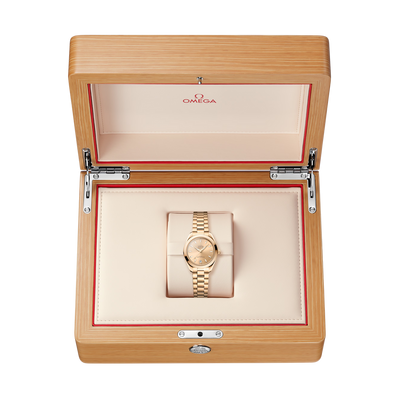 Seamaster Aqua Terra 150M 30 mm