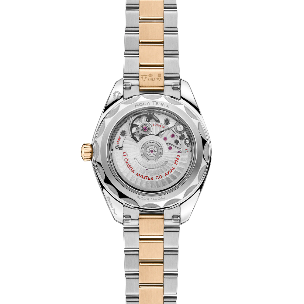 Seamaster Aqua Terra 150M 30 mm