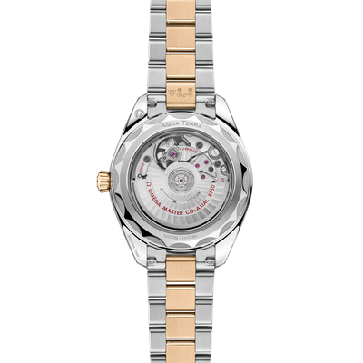 Seamaster Aqua Terra 150M 30 mm