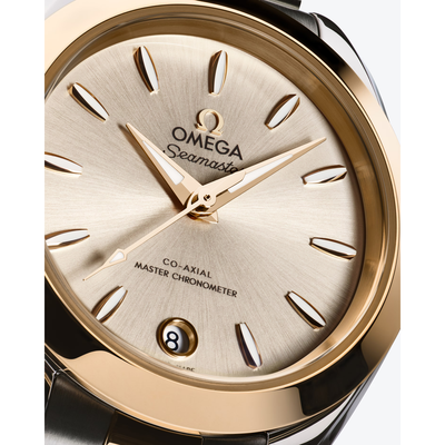 Seamaster Aqua Terra 150M 30 mm