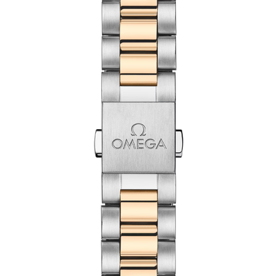 Seamaster Aqua Terra 150M 30 mm