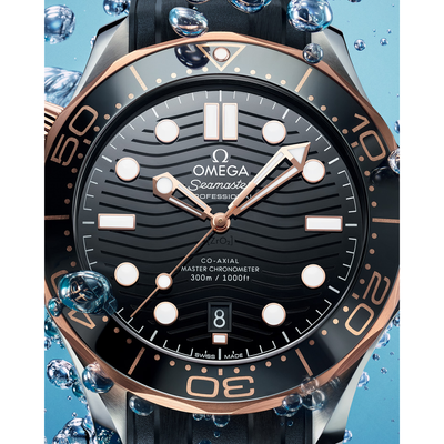 Seamaster Diver 300M 42 mm