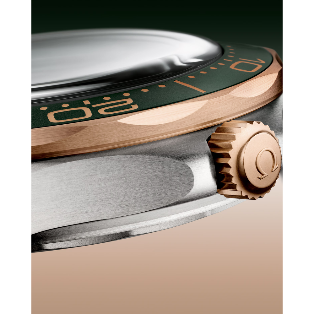 Seamaster Diver 300M 42 mm