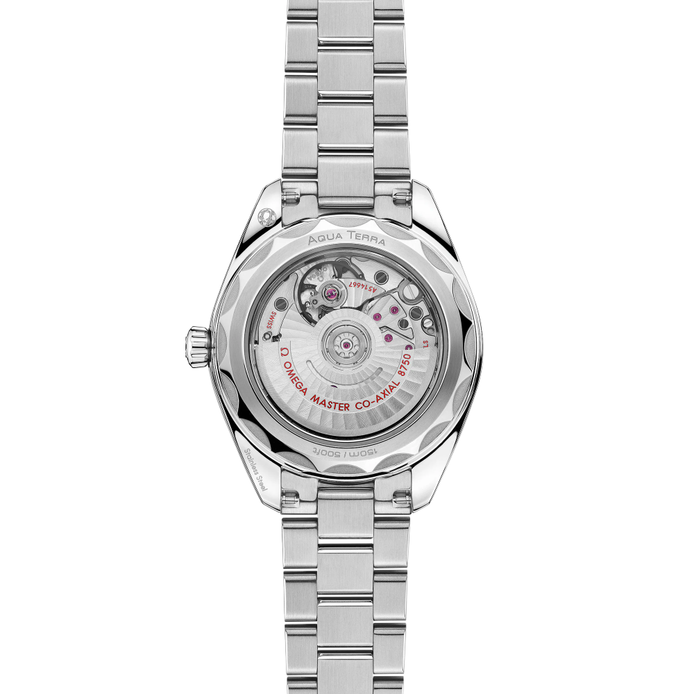 Seamaster Aqua Terra 150M 30 mm