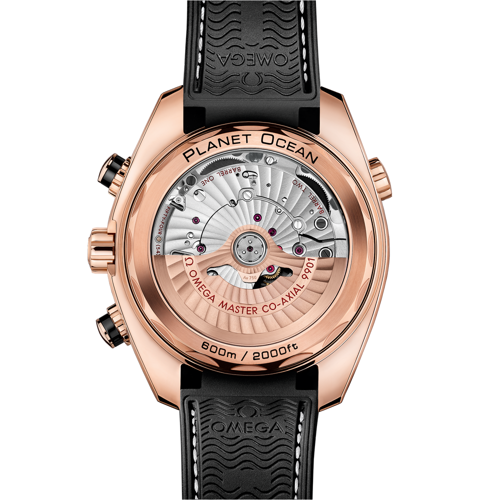 Seamaster Planet Ocean 600M 45,5 mm