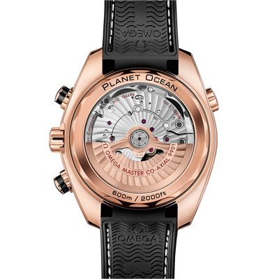 Seamaster Planet Ocean 600M 45,5 mm