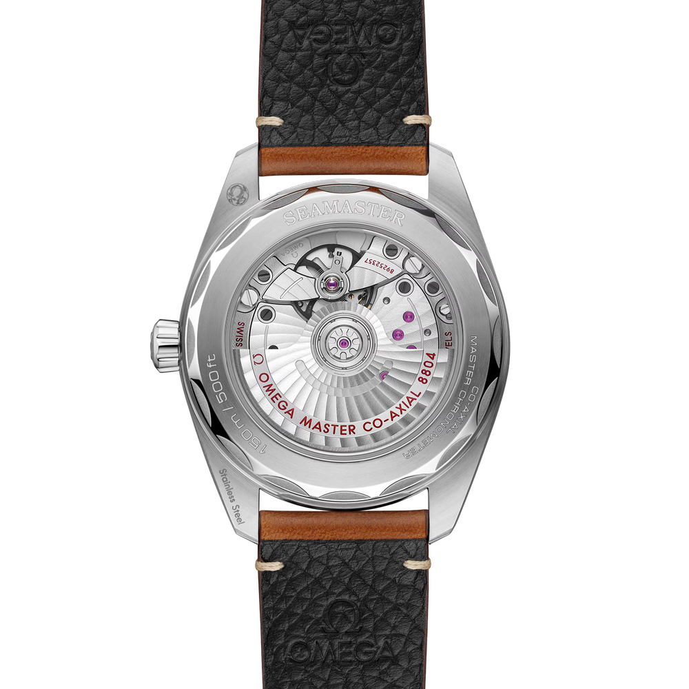 Seamaster Railmaster 38 mm