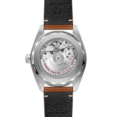Seamaster Railmaster 38 mm