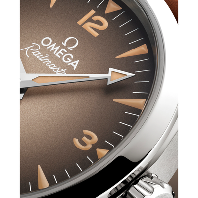Seamaster Railmaster 38 mm