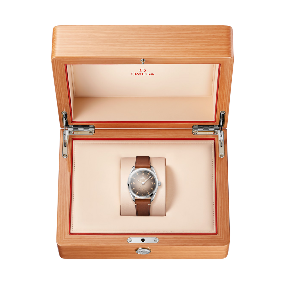 Seamaster Railmaster 38 mm