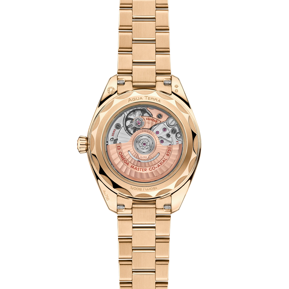 Seamaster Aqua Terra 150M 30 mm