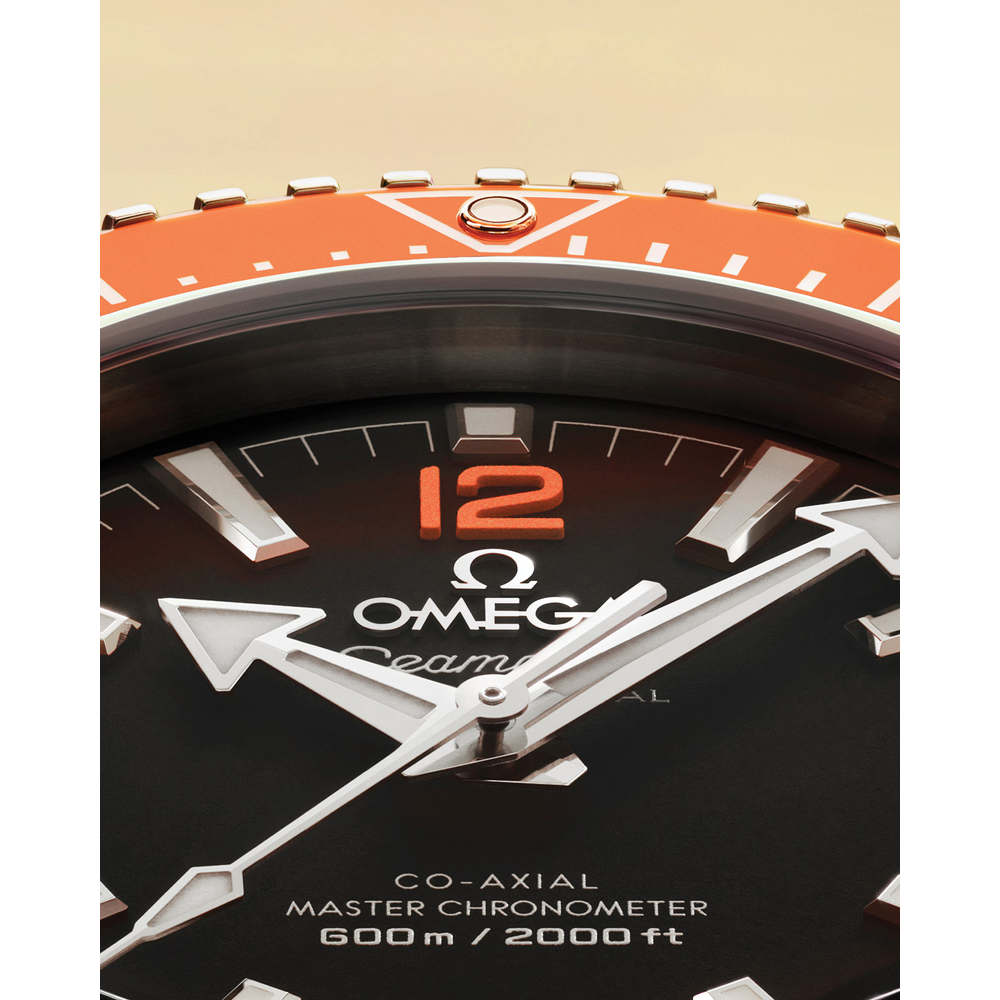Seamaster Planet Ocean 600M 42 mm